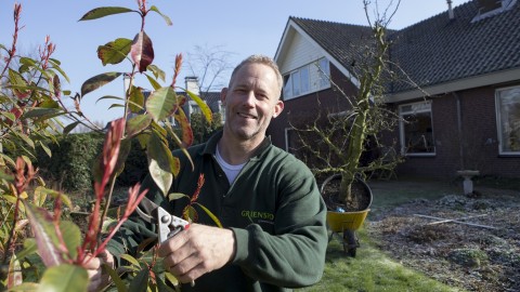 Tuinman snoeit bomen