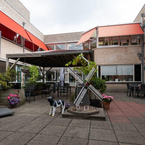 binnentuin met een nepkoe en nepmolen