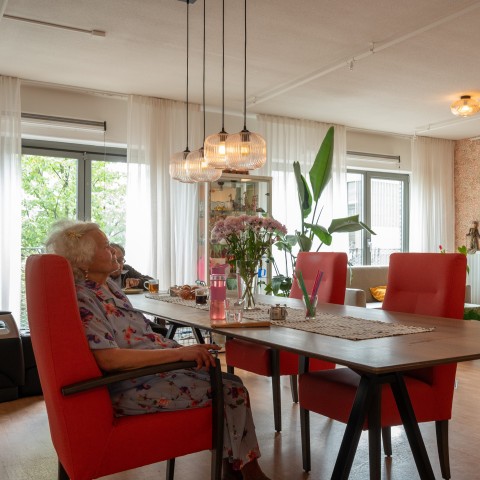 Mevrouw kijkt tv in de woonkamer