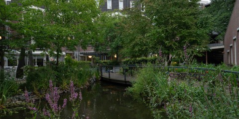 Tuin van de Rietvinck
