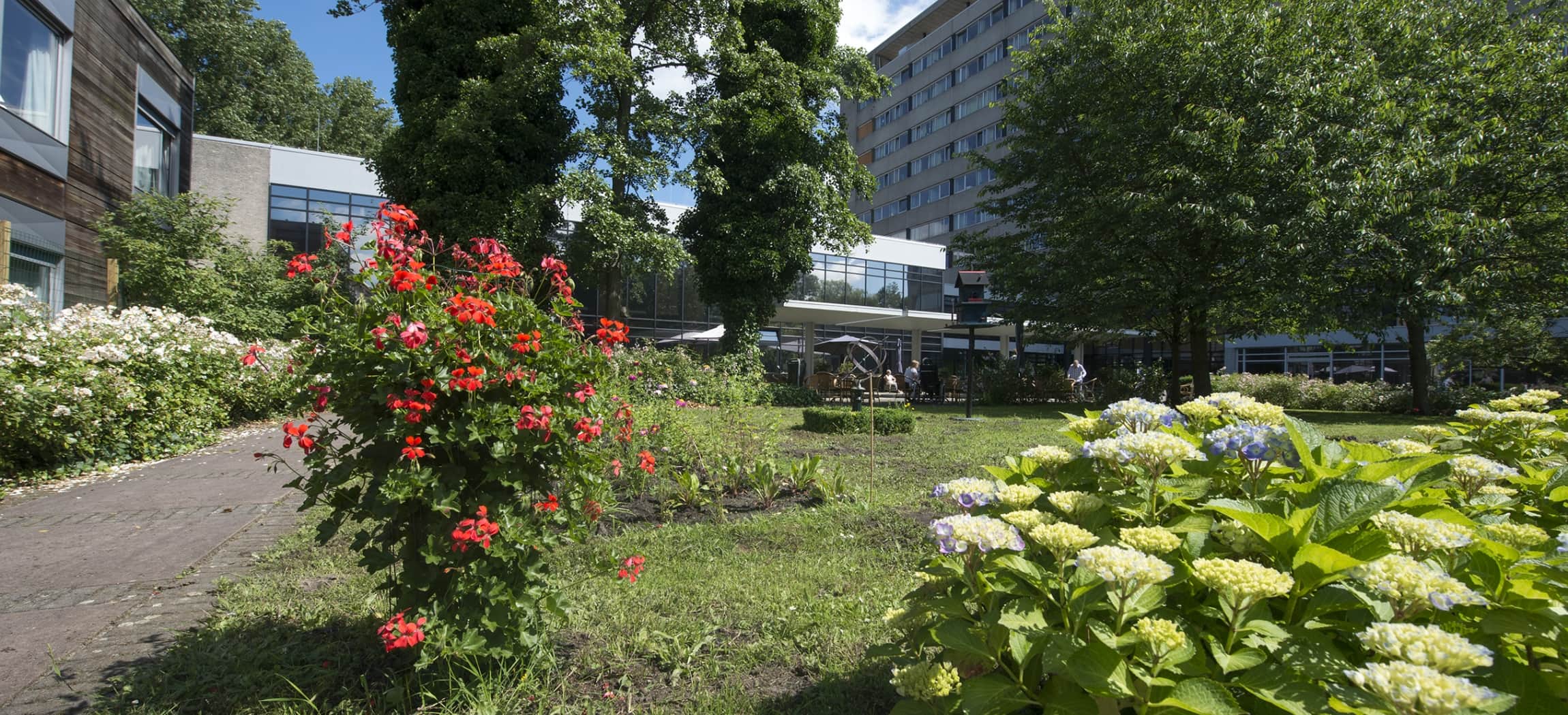 Bloemen en struiken in een binnentuin