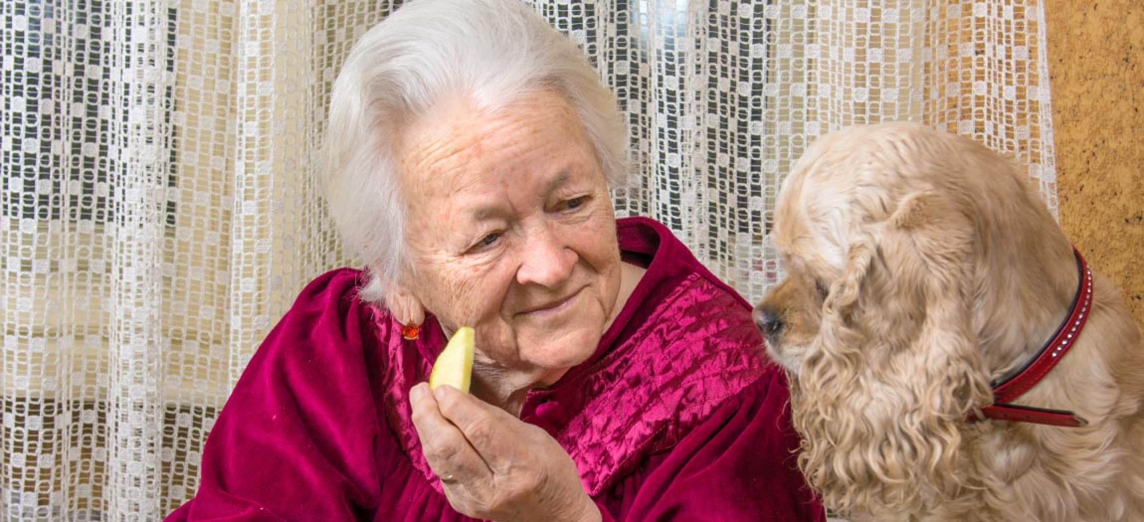 Oude vrouw met stukje appel en haar hondje kijkt ernaar