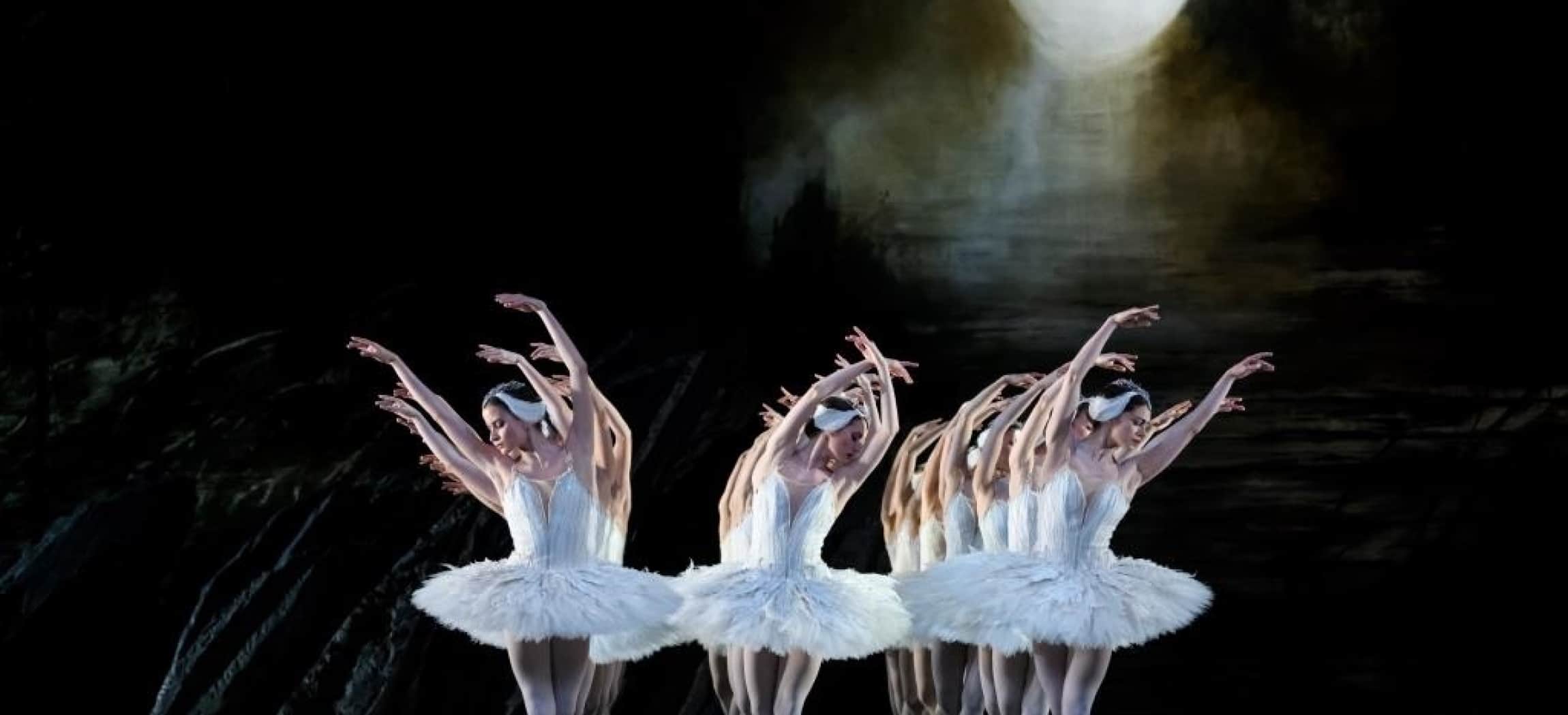 Balletdanseressen Zwanenmeer met witte veren tutu's