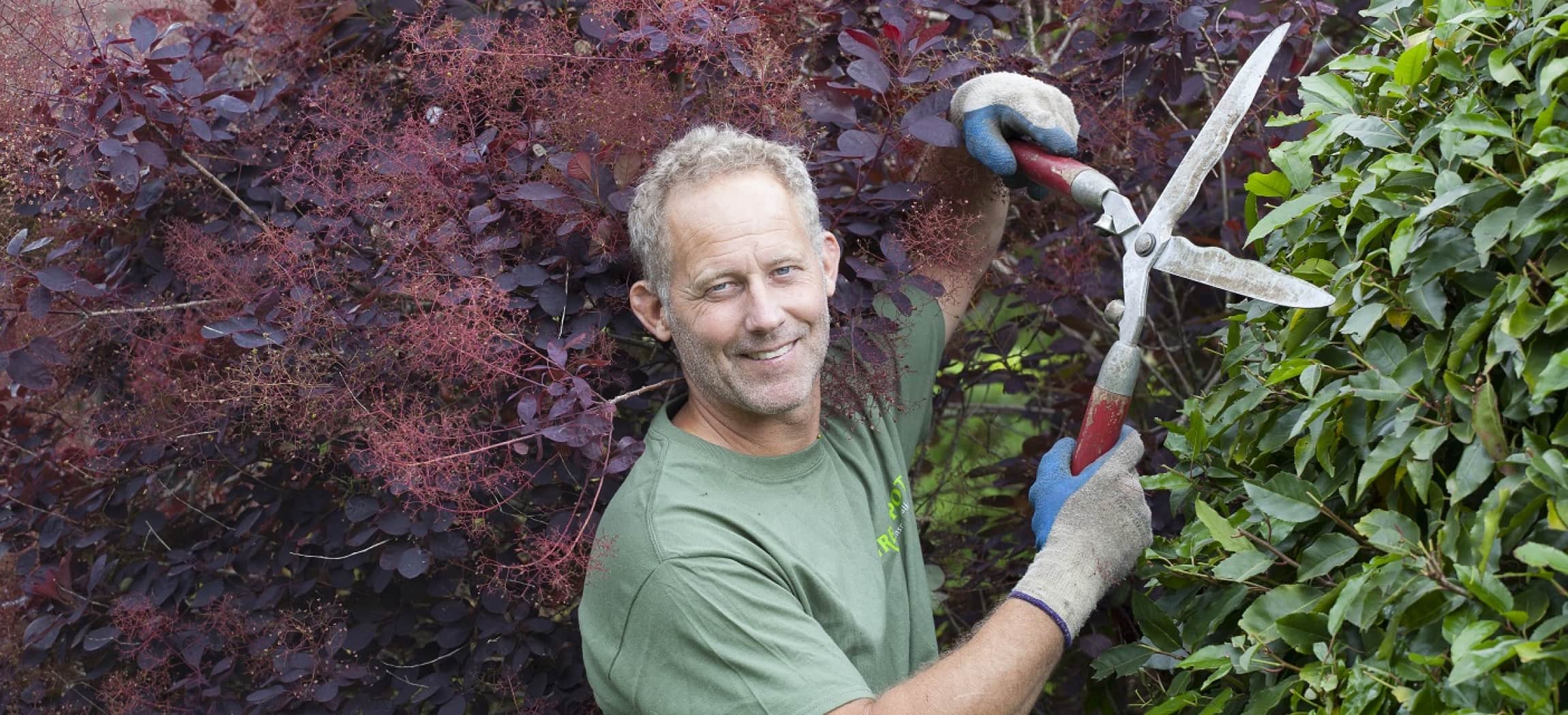Afbeelding van Voorjaar: tijd voor nieuwe aanplant