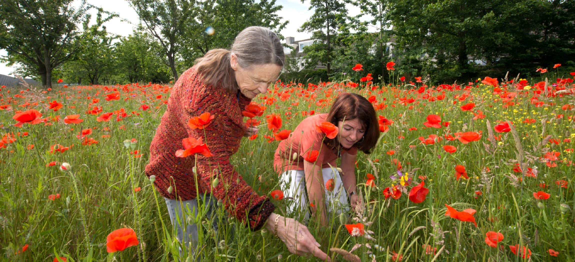 Klaprozen veld met 2 vrouwen in natuur