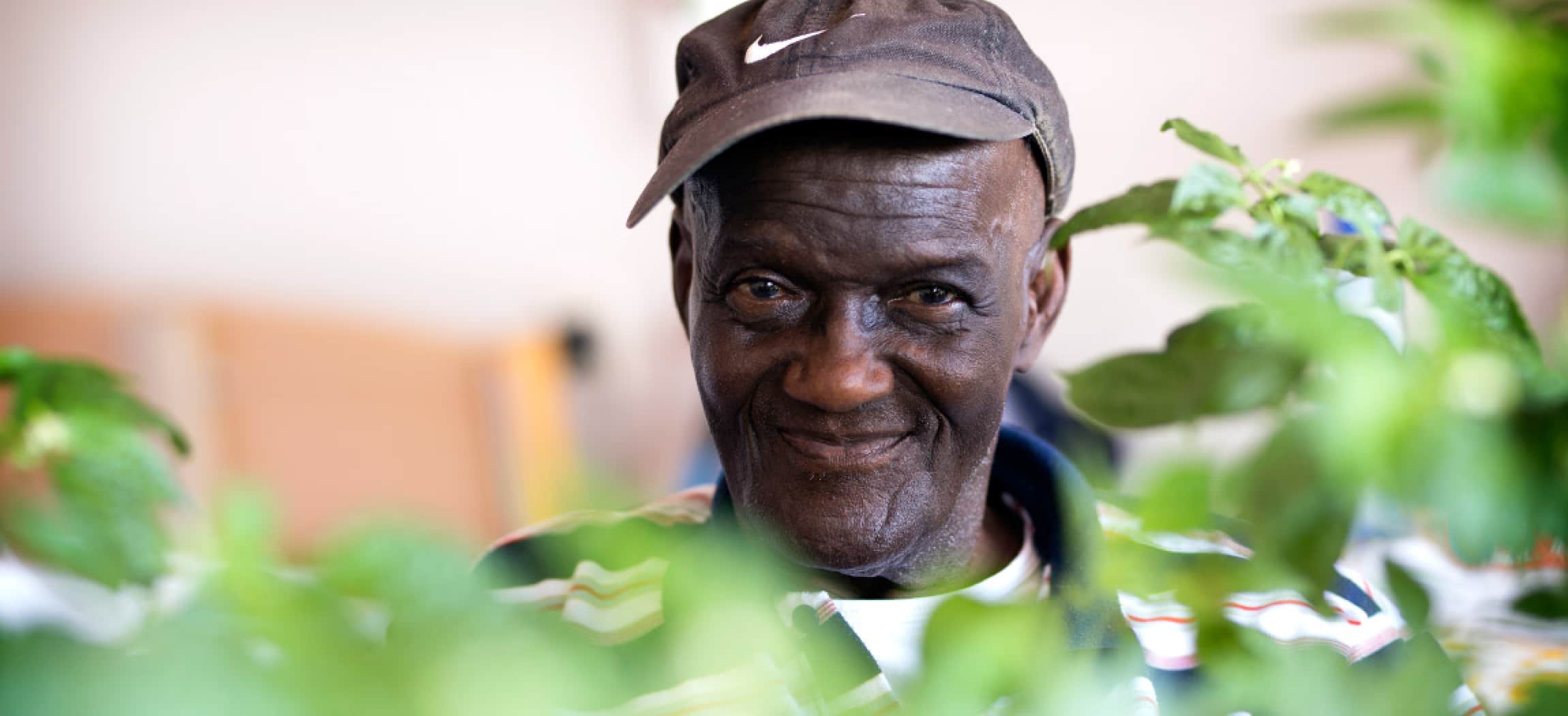 Vrolijke oudere man met donkere huidskleur en groene kamerplanten