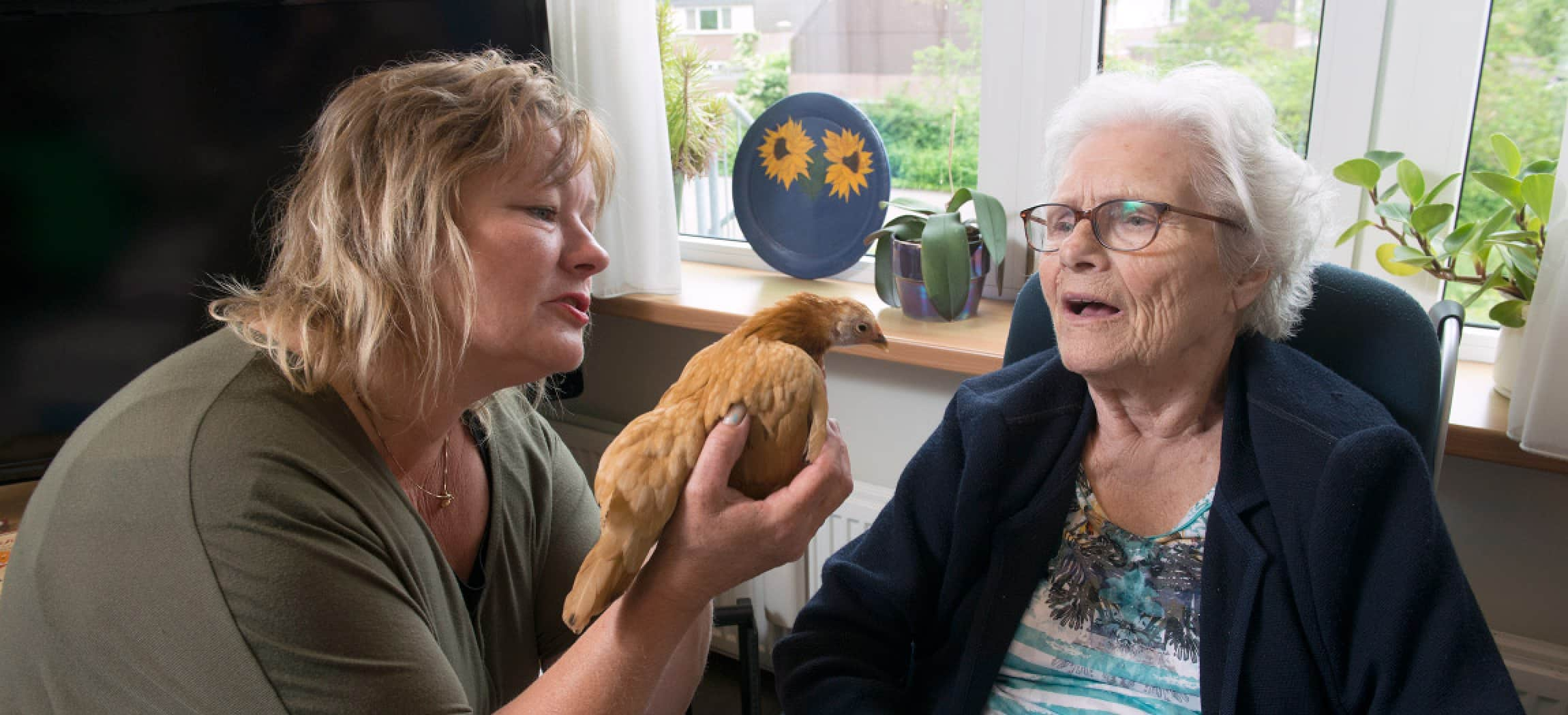 Oudere vrouw in verpleeghuis kijkt naar kip in handen van dierenbegeleider