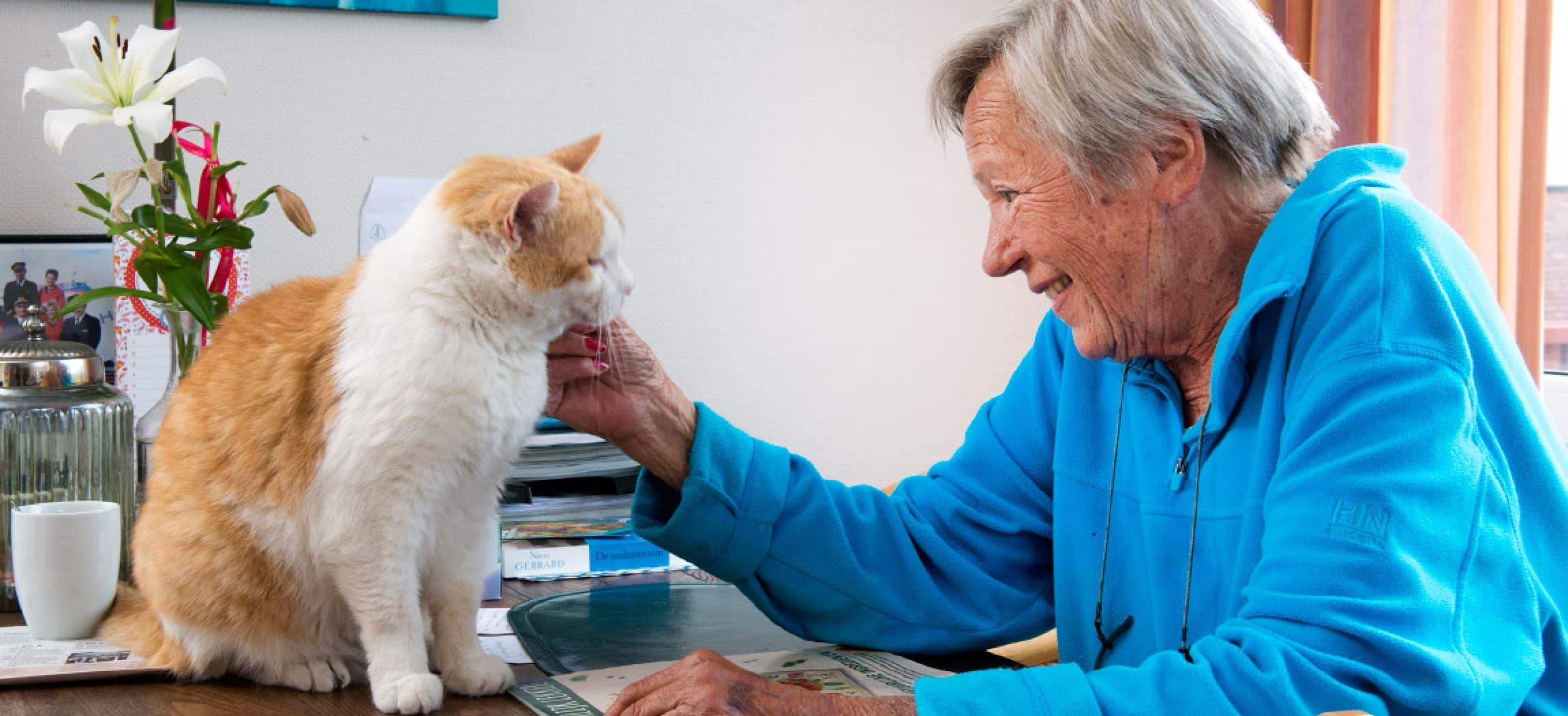 Mooie oudere blije vrouw aait haar oranje witte kat op tafel