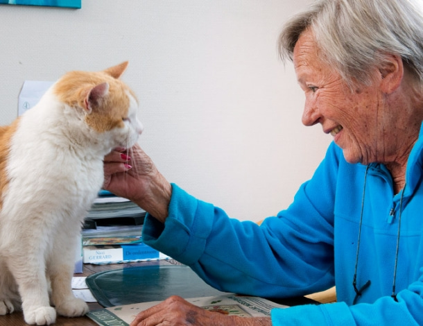 Mooie oudere blije vrouw aait haar oranje witte kat op tafel